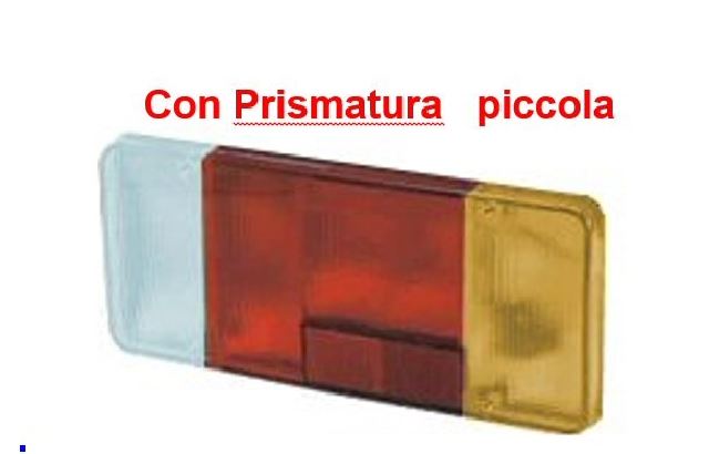 LENTE DAILY CASSONATO DX NEBBIA
